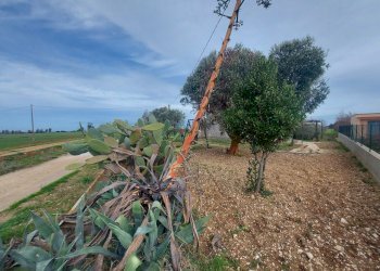 20240119_130954.jpg - Casale Strada per Baccatani 26, Brindisi - foto 11