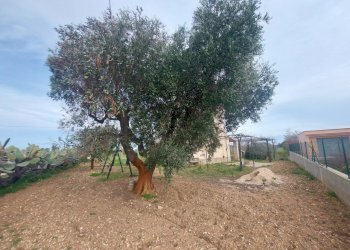 20240119_131007.jpg - Casale Strada per Baccatani 26, Brindisi - foto 12