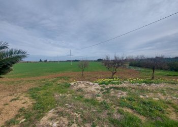 20240119_130400.jpg - Casale Strada per Baccatani 26, Brindisi - foto 14