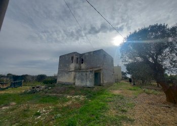 20240119_130535.jpg - Casale Strada per Baccatani 26, Brindisi - foto 16