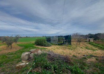 20240119_130616.jpg - Casale Strada per Baccatani 26, Brindisi - foto 17