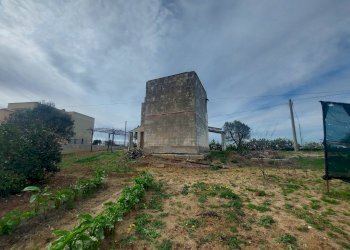 20240119_130655.jpg - Casale Strada per Baccatani 26, Brindisi - foto 19