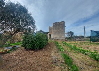 20240119_130731.jpg - Casale Strada per Baccatani 26, Brindisi - foto 21