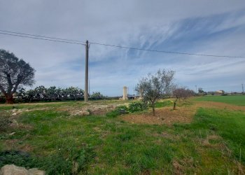 20240119_130800.jpg - Casale Strada per Baccatani 26, Brindisi - foto 22