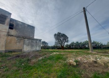 20240119_130820.jpg - Casale Strada per Baccatani 26, Brindisi - foto 23