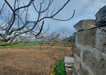 20240119_130711.jpg - Casale Strada per Baccatani 26, Brindisi - foto 25