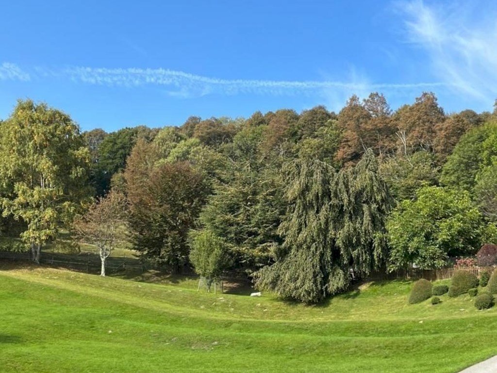 Terreno proprieta - Villa via C. Goldoni  17, Alta Valle Intelvi - foto 1