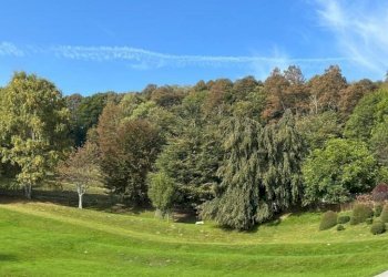 Terreno proprieta - Villa via C. Goldoni  17, Alta Valle Intelvi - foto 1
