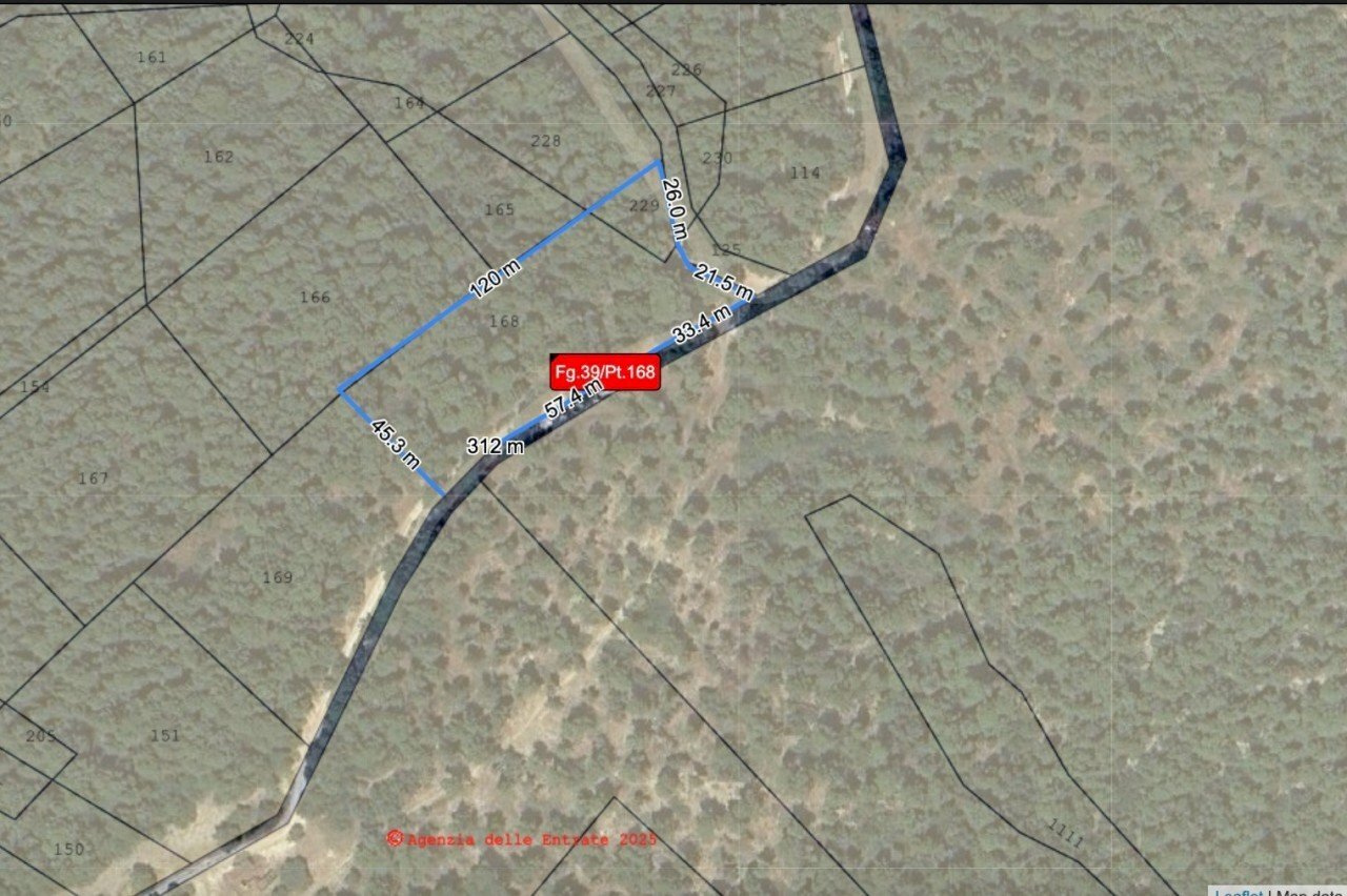 WhatsApp Image 2025-06-23 at 18.58.05.jpeg - Terreno agricolo Contrada Rucci Cupari, Vieste - foto 1