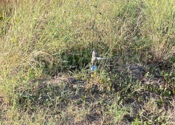 04.jpg - Terreno agricolo Giugliano in Campania - foto 4