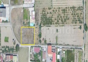 05.jpg - Terreno agricolo Giugliano in Campania - foto 5