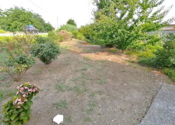 IMG-20230710-WA0036.jpg - Stabile - Palazzo Strada Provinciale ex Strada Statale 596 dei Cairo 14, Vinzaglio - foto 8