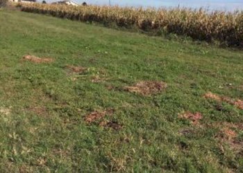 1038095670.jpg - Terreno edificabile Villata - foto 1