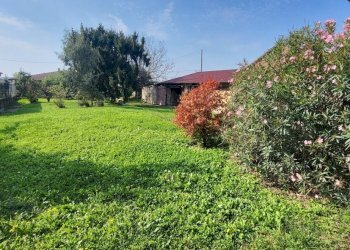 20250920_104844.jpg - Villa Via Monte Grappa 2020, Asigliano Vercellese - foto 18