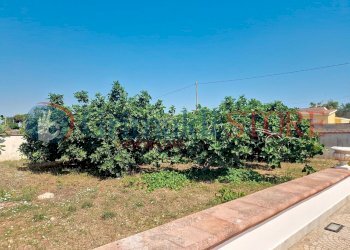 casa-mimino-prete_00017_result.jpg - Villa Manduria - foto 17