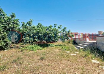 casa-mimino-prete_00018_result.jpg - Villa Manduria - foto 18