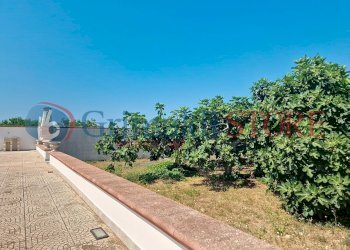 casa-mimino-prete_00020_result.jpg - Villa Manduria - foto 20