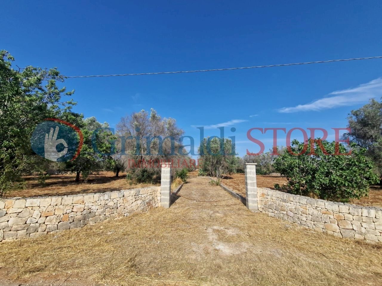 WhatsApp Image 2025-07-07 at 19.13.25_result.jpg - Terreno agricolo Latiano - foto 1