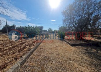 WhatsApp Image 2025-07-07 at 19.13.38 (4)_result.j - Terreno agricolo Latiano - foto 6