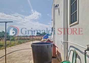 galatina-roberta_00014_result.jpg - Villa Galatina - photo 30