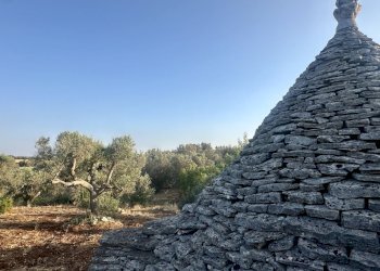 IMG_2003.jpeg - Terreno edificabile Ceglie Messapica - foto 1