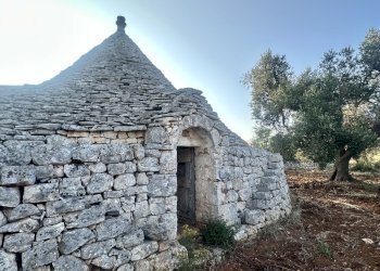 IMG_1997.jpeg - Terreno edificabile Ceglie Messapica - foto 2