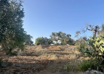 IMG_1944.jpeg - Terreno edificabile Ceglie Messapica - foto 5