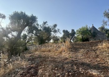 IMG_1947.jpeg - Terreno edificabile Ceglie Messapica - foto 7