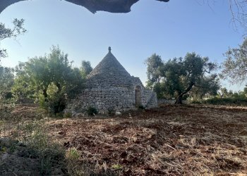 IMG_1951.jpeg - Terreno edificabile Ceglie Messapica - foto 8