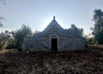 IMG_1955.jpeg - Terreno edificabile Ceglie Messapica - foto 9