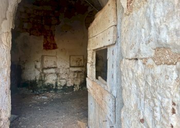 IMG_1961.jpeg - Terreno edificabile Ceglie Messapica - foto 12