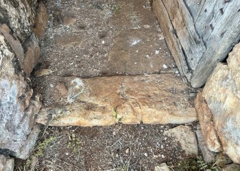 IMG_1962.jpeg - Terreno edificabile Ceglie Messapica - foto 13