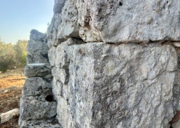 IMG_1964.jpeg - Terreno edificabile Ceglie Messapica - foto 14