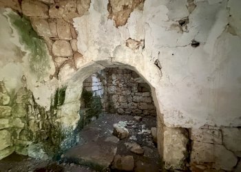 IMG_1967.jpeg - Terreno edificabile Ceglie Messapica - foto 15