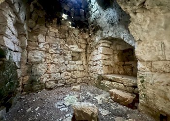 IMG_1969.jpeg - Terreno edificabile Ceglie Messapica - foto 16