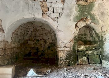 IMG_1973.jpeg - Terreno edificabile Ceglie Messapica - foto 18