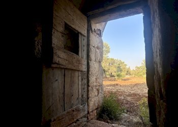 IMG_1977.jpeg - Terreno edificabile Ceglie Messapica - foto 19