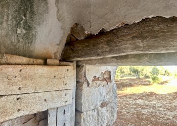 IMG_1980.jpeg - Terreno edificabile Ceglie Messapica - foto 20