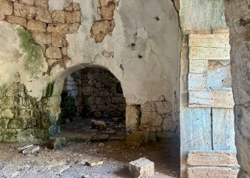 IMG_1983.jpeg - Terreno edificabile Ceglie Messapica - foto 21