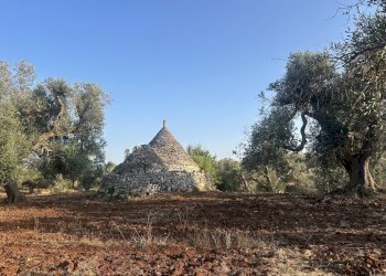 IMG_1989.jpeg - Terreno edificabile Ceglie Messapica - foto 23