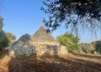 IMG_1993.jpeg - Terreno edificabile Ceglie Messapica - foto 25