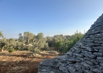 IMG_2002.jpeg - Terreno edificabile Ceglie Messapica - foto 26