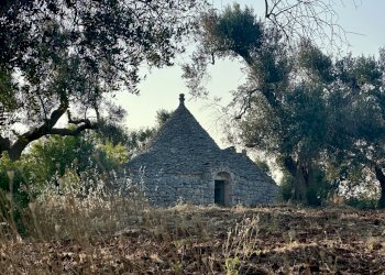 IMG_2020.jpeg - Terreno edificabile Ceglie Messapica - foto 28