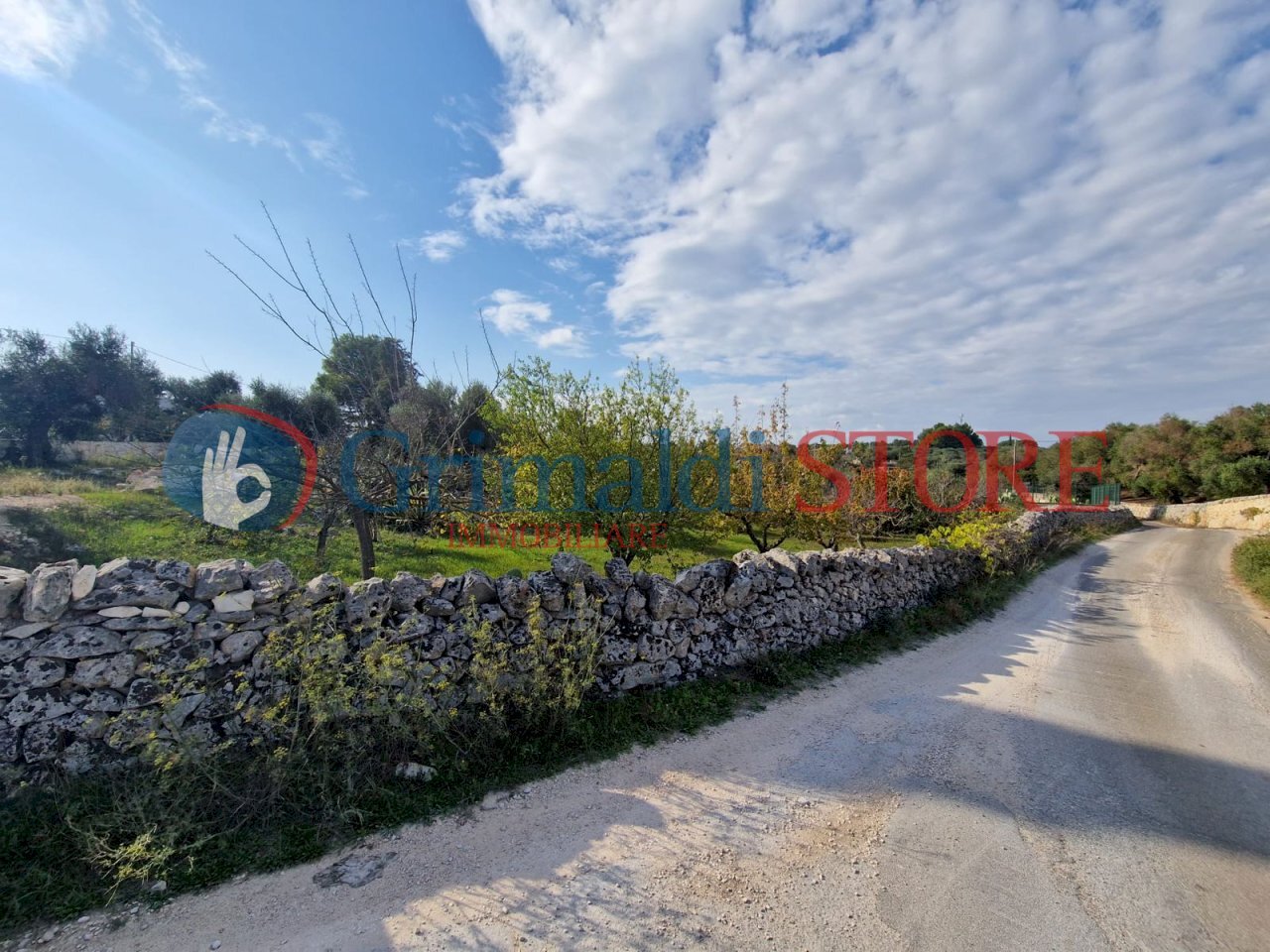 IMG-20241112-WA0005_risultato.png - Casa indipendente Ostuni - foto 3