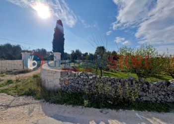 IMG-20241112-WA0004_risultato.png - Casa indipendente Ostuni - foto 2