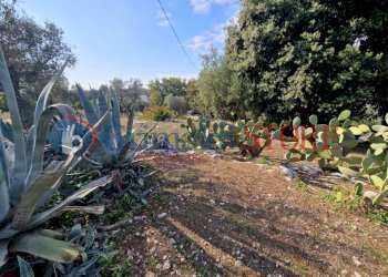 IMG-20241112-WA0006_risultato.png - Casa indipendente Ostuni - foto 4