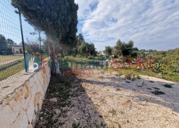 IMG-20241112-WA0007_risultato.png - Casa indipendente Ostuni - foto 5