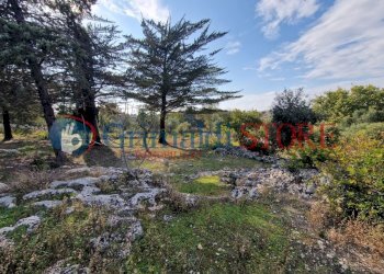 IMG-20241112-WA0009_risultato.png - Casa indipendente Ostuni - foto 7