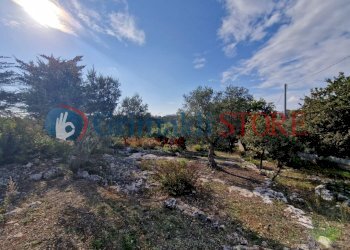 IMG-20241112-WA0010_risultato.png - Casa indipendente Ostuni - foto 8