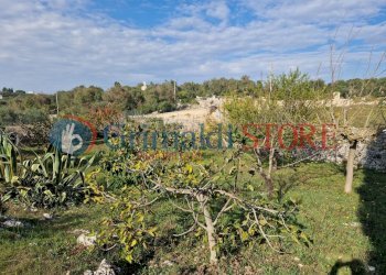 IMG-20241112-WA0020_risultato.png - Casa indipendente Ostuni - foto 18